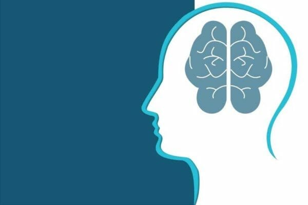 Mind Map คืออะไร? 15 human brain 600x400 1